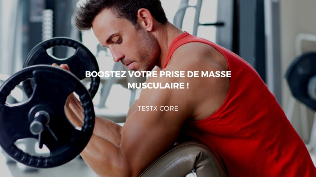 prise de masse Testx core