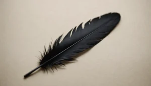 signification plume noire